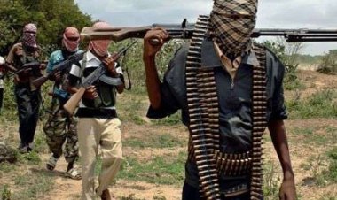 Gunmen assassinate a poly lecturer in Adamawa
