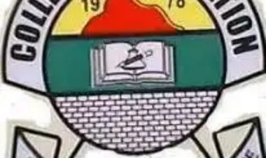 College of Education Zing Diploma and Certificate Courses Admission Form 2022/2023 Is Out