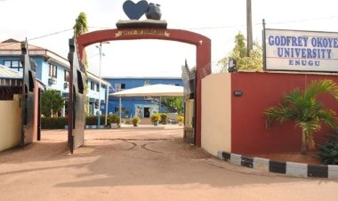 Godfrey Okoye University List of Courses