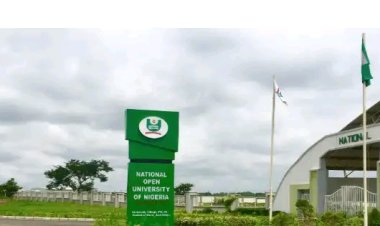 NOUN admission application guidelines