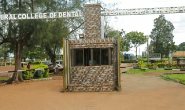 Federal College of Dental Technology and Therapy List of Faculties