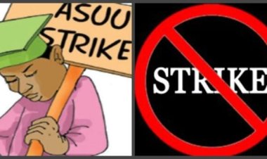 "Even in ASUU, this is the worst leadership I have seen in 25 years"- BASUG Professor Adamu Haruna