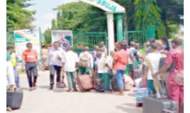 FG relocates federal government colleges in Abuja over terrorists threats