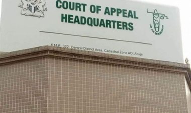 Court of Appeal calls for support over post- 2023 elections disputes