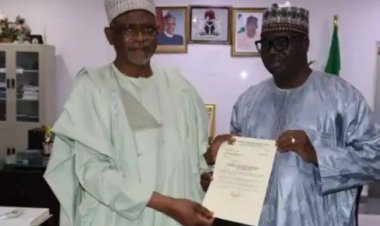 Adamawa college of education gets new provost