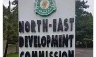 How To Apply For 2022 NorthEast Development Commission Scholarship
