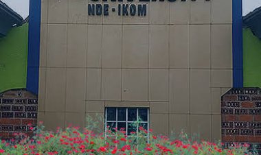 Courses offered in Havilla University