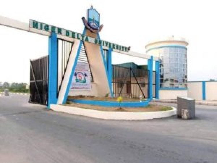 Niger Delta University extends Stream A postgraduate admission deadline