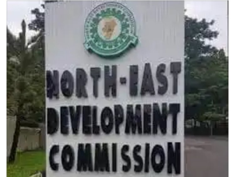 How To Apply For 2022 NorthEast Development Commission Scholarship