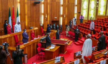 National Assembly set to establish 63 more universities amidst the ASUU strike, expert react