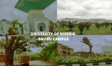 UNEC organizes computer training programme for Secondary school students; see details