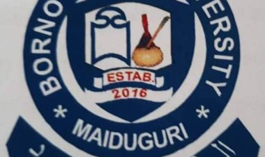 List Of Courses Offered In Borno State University