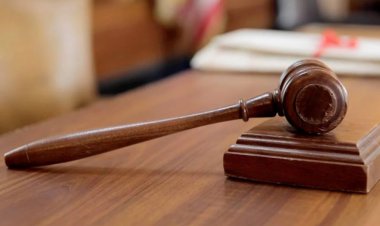 Court convicts ex-Registrar of veterinary college for receiving 11 years double salaries