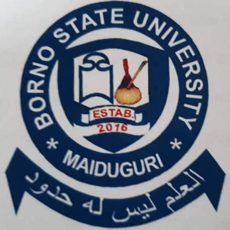List Of Courses Offered In Borno State University