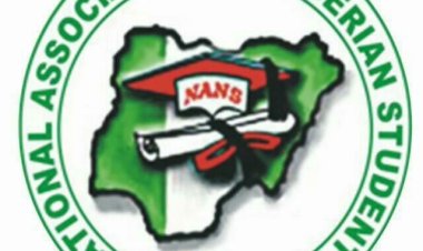Nigerian politicians deploy 300m to rig NANS election, student unionist alleges after 7 days without commencement