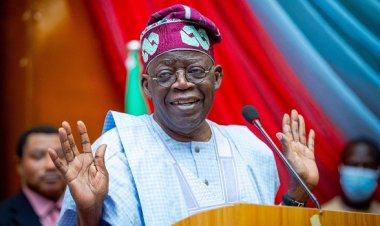 Tell Nigerians Tinubu’s Educational Background Before Criticising Us, Team Atiku Fires Back At APC