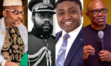 How Anambrarians reacted to Kanu’s victory, suspension of ASUU strike