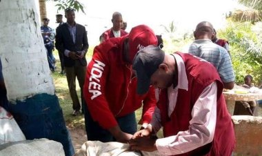 NDLEA nabs 200-level university student, 26 others with drugs in FCT, 12 states