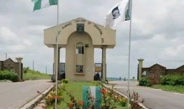 Emmanuel Alayande COE, NCE Admission for 2022/2023 session