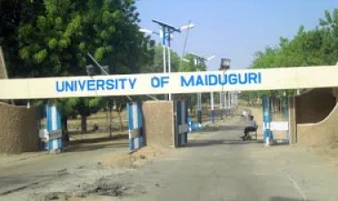 UNIMAID Cut Off Mark 2022/2023 | See University of Maiduguri Cut-off Mark and Departmental Cut Off
