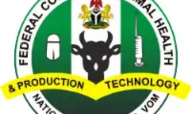 Federal College of Animal Health & Production Releases ND/HND Admission List, 2022/2023