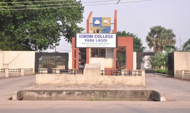 Igbobi College Old Boys set to raise N1bn for alma mater
