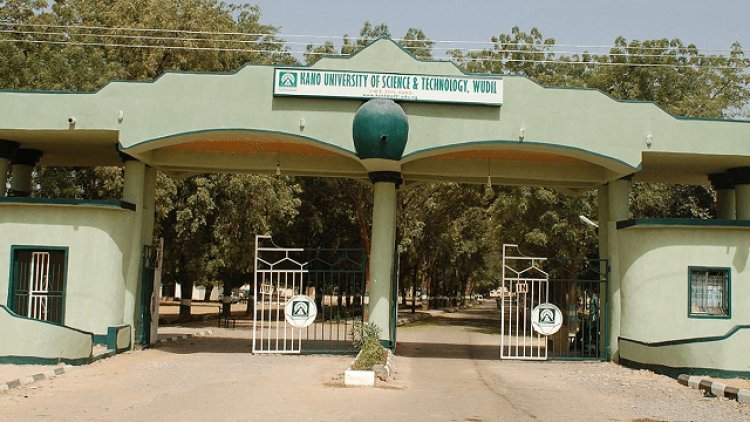 Kano state government approves renaming KUT to Aliko Dangote University of Science and Technology