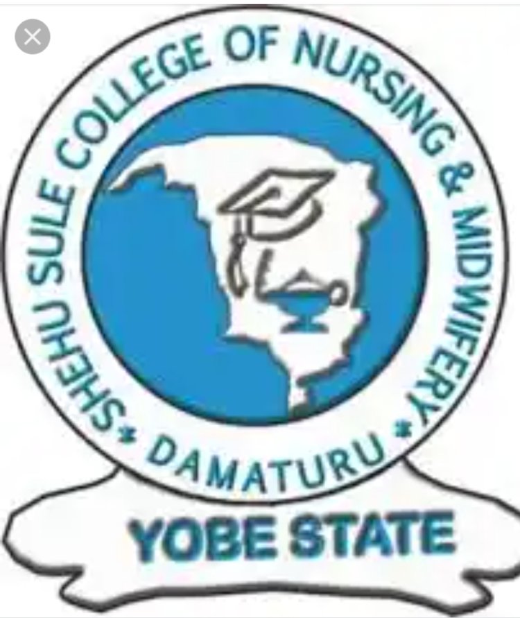 Shehu Sule College of Nursing & Midwifery Post-UTME 2022: cut-off mark, eligibility & registration details