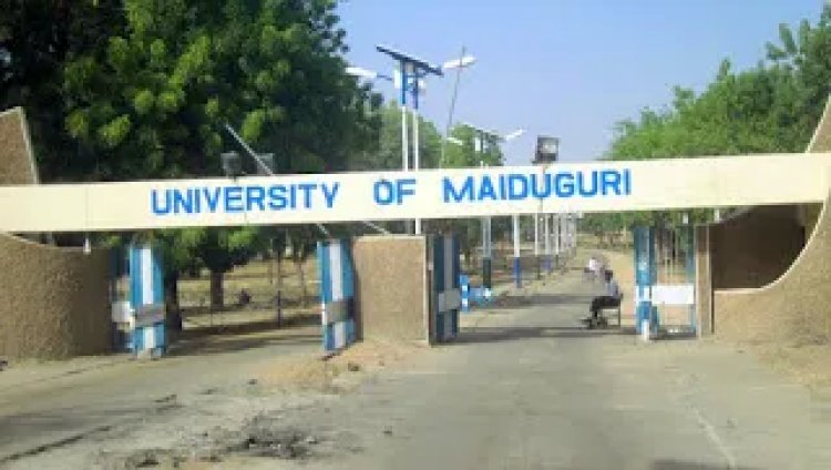 UNIMAID Cut Off Mark 2022/2023 | See University of Maiduguri Cut-off Mark and Departmental Cut Off