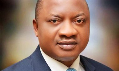 Governor Uzodimma sacks Imo university VC Prof Patrick Ekezie Egbule