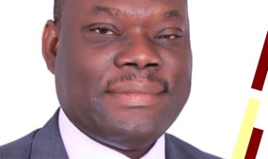 UNILAG Lecturer, Prof Wellington Oyibo gets NAFDAC appointment