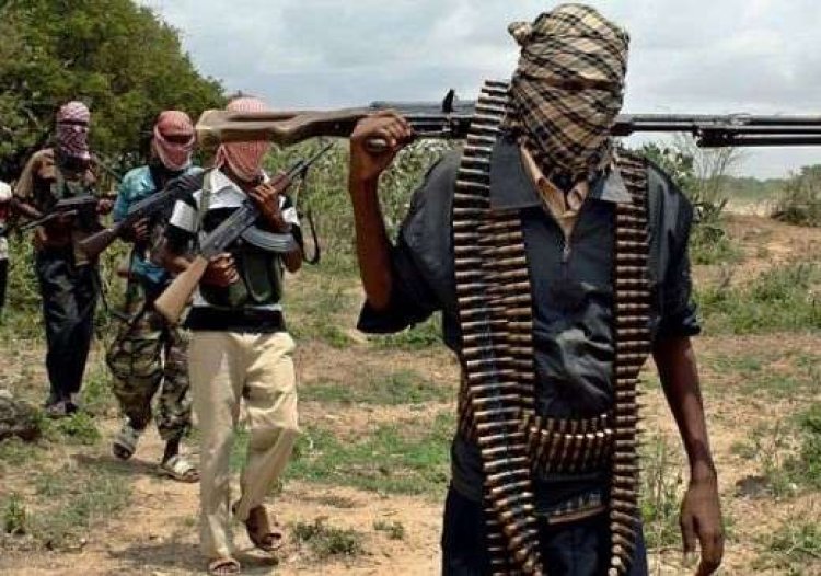 Gunmen kidnap ex-VC and two MAPOLY students