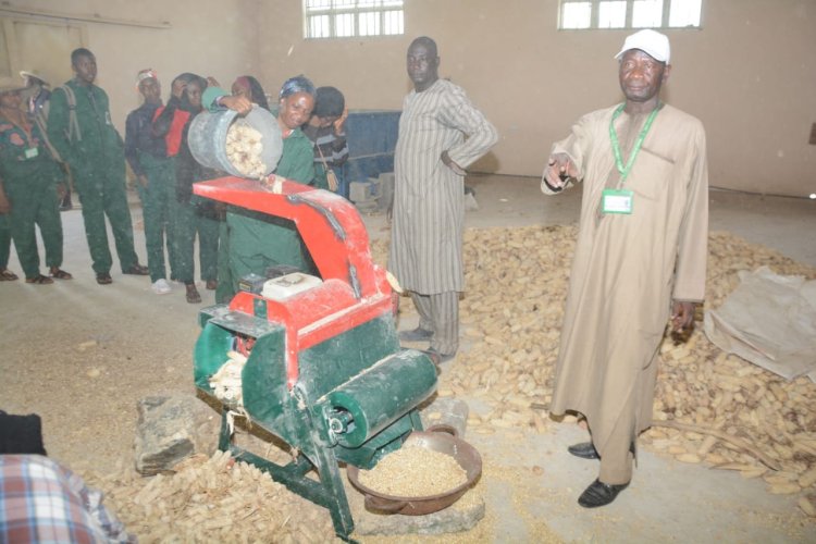 400-level UNIABUJA students thresh no fewer than 1.1 tons of maize  for storage