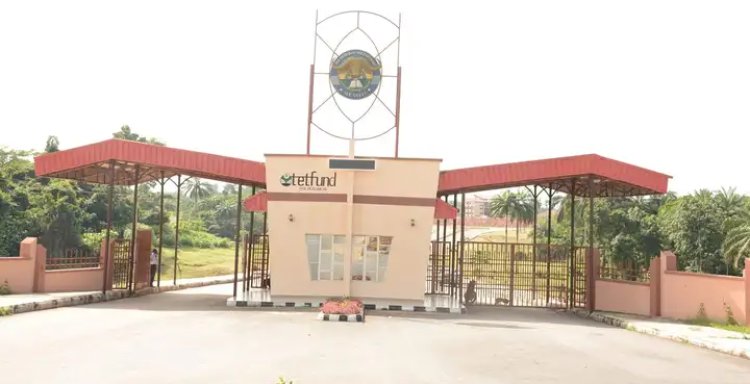 Federal Polytechnic Ile-Oluji announces Post UTME physical screening for 2022/2023 session