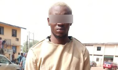 Kwara poly disowns Joshua Oluwatofunmi student who lured and defrauded an American woman