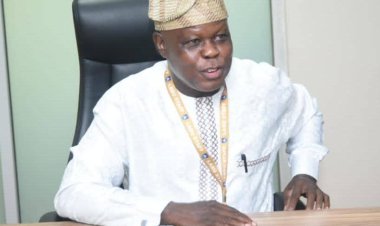 Prof. Olufunsho Omobitan Elected as LASU's New Deputy Vice