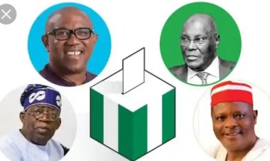 Myschoolnews Predict Victory for Peter Obi, , Atiku, or Tinubu - Who Come Out on Top?