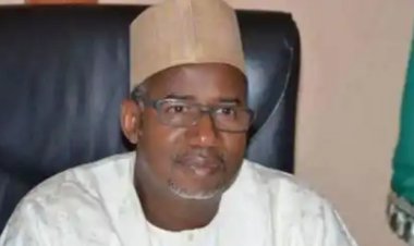 Elections: Bauchi government shuts down schools