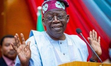 NANS Dumps Peter Obi To Endorse Tinubu for President says, Tinubu's track records are unbelievable