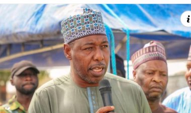 Borno govt releases N611.9m for payment of student scholarship