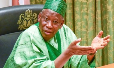 Kano State Students' Fate Hangs in the Balance: Will Governor Ganduje Fulfill Scholarship Promises?