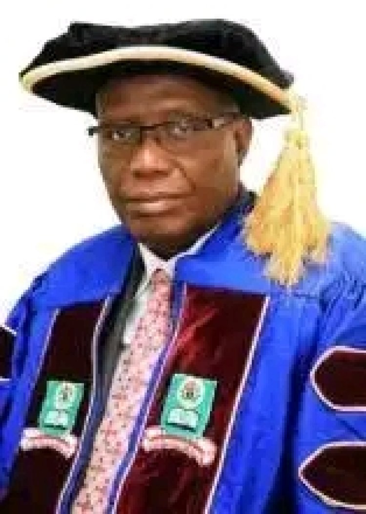 NOUN to become more research-oriented says VC, Prof. Olufemi Peters