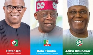 Lecturers Rig Elections For Politicians And Expel Students For Exam Malpractice – Jonathan, Wole Soyinka