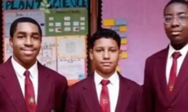 Greensprings students develop application linking craftsmen with customers