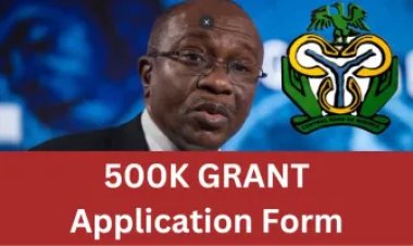 CBN Introduces N500k Grants for Graduates, Undergraduates – Apply Now