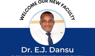 FUTA Lecturer Dr Emmanuel Dansu Becomes Faculty Member of Leading Data Outfit