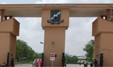 Gombe State University Lecturers Decry Non-Payment Of Allowances
