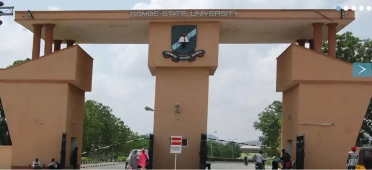 Gombe State University Lecturers Decry Non-Payment Of Allowances