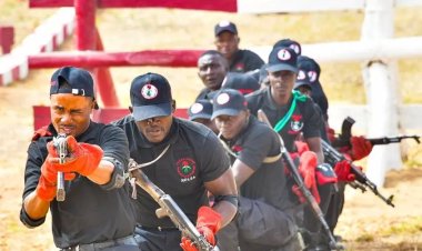 NDLEA Extends close of recruitment application portal by one week