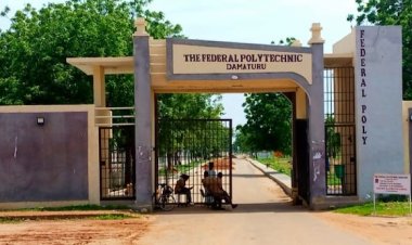 Federal Polytechnic Damaturu awarded a contract for the construction of an FM radio station